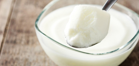 melk zuivel melkverwerking yoghurt