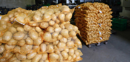 aardappelen aardappelexport