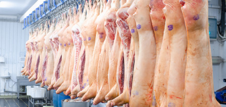 slachterij varkenshouderij varkensvlees varkens - agri