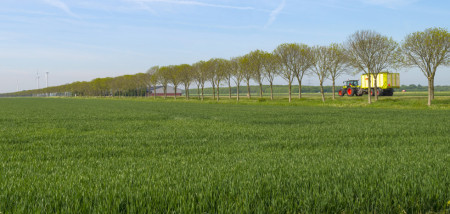 tarweveld flevoland landbouwverkeer