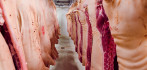 Amerikaanse export varkensvlees blijft op dreef 