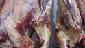 Winstcijfers vleesgigant JBS vallen wederom tegen 