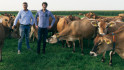 'Onze melk geen commodity maar nicheproduct' 