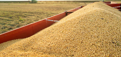 Helft soja komt uit Brazilië, invoervolume stijgt