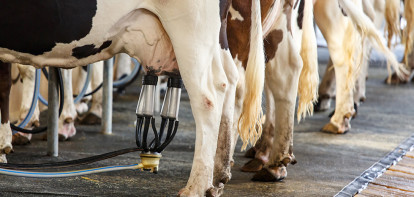 Hoe Frankrijk verzuipt in biologische melk