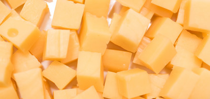 zuivel melkveebedrijf kaas