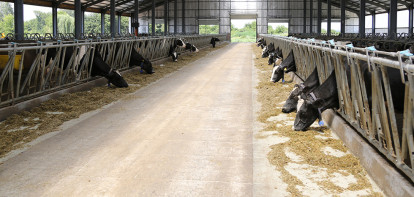 Coalitie vraagt 1,3 miljard voor melkveehouderij