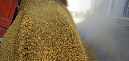 céréales arables récolte grain - agriculture