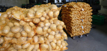 Oekraïne zoekt toegang tot Europese aardappelmarkt