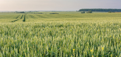akkerbouw graan tarwe frankrijk
