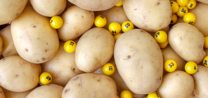bingo aux pommes de terre