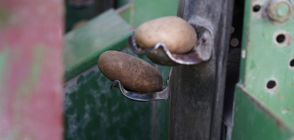 Poolse aardappelteler pikt contractprijs niet langer