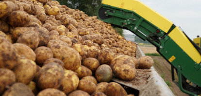 Elk aardappelras zijn eigen marktprijs