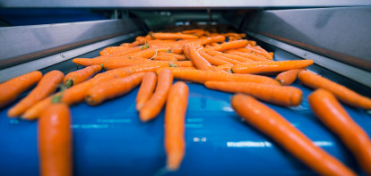 entreprise alimentaire de carottes