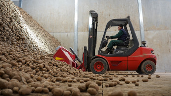 conservation des pommes de terre
