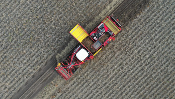 Oogst van aardappelen, akkerbouw