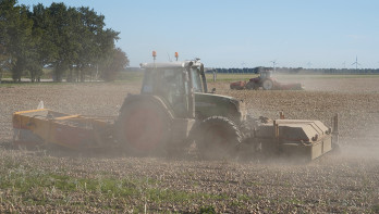 Oogst van uien, akkerbouw