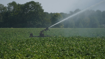 Belgische boer vreest voor grondwatergebruik