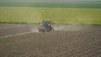 Oogst van uien, akkerbouw