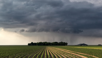 regen