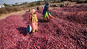Regen zorgt voor paniek op de uienmarkt in India