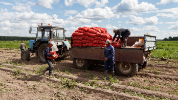 Aardappelmarkt in Oost-Europa flink van slag