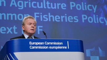 Brussel overweegt opnieuw opkoop van varkensvlees