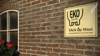 Eko Holland