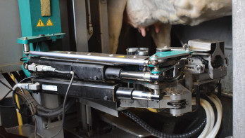 zuivel melken melkrobot