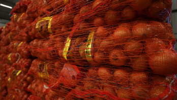 oignon exportation d'oignon