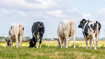 Alex Datema nieuwe agri-topman van Rabobank - Interview Alex Datema ...