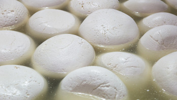 Productie van mozzarella kaas in een zuivelfabriek