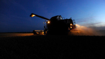 Tarweoogst in het donker op het land, waarbij het rijpe tarwe wordt geoogst.