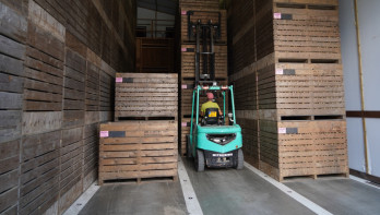 kisten pootaardappel Kistenbewaring Vorkheftruck