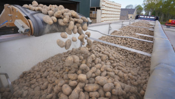aardappelen agria Aardappeltransport Afleveren