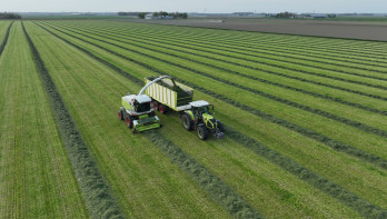 Grasoogst op het land, waarbij gras wordt gemaaid voor ruwvoer.