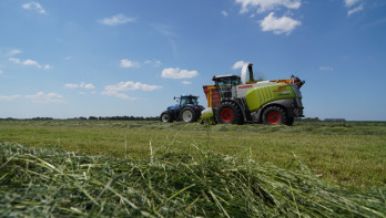 Grasoogst op het land, waarbij gras wordt gemaaid voor ruwvoer.
