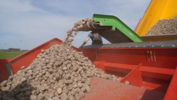 Aardappelen poten op het land met landbouwmachines.