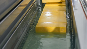 Industriële kaasproductie in een zuivelfabriek