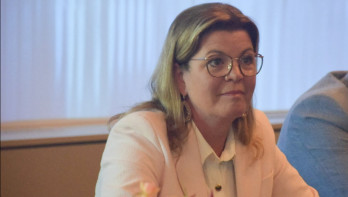 Christianne van der Wal, Nederlandse politica