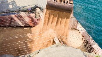 Graan dat wordt geladen in een vrachtschip voor transport over water.