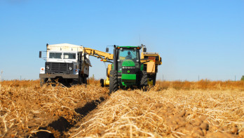 Oogst van aardappelen, akkerbouw