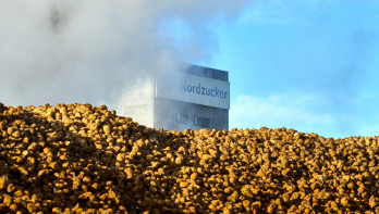 Hoop suikerbieten bij een fabriek van Nordzucker