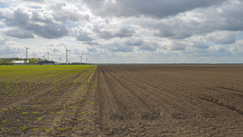 Akkerland met voren in het zonlicht in het voorjaar.