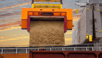 Bulklading ruwe suiker wordt met een transportband in het ruim van een schip geladen.