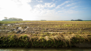 Akkerbouwland, Nederland