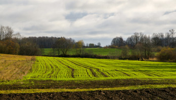 frankrijk tarwe - agri