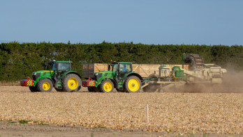 Landbouwmachine oogst uien op een akker in de zomer