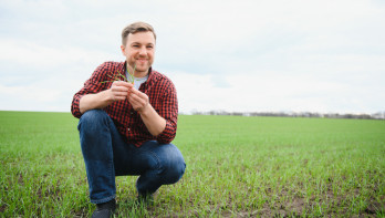 Boer houdt jonge groene tarwekiemen in zijn handen