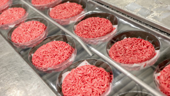 Productie van runderhamburgers in een voedselverwerkingsfabriek, vleesverwerkende industrie